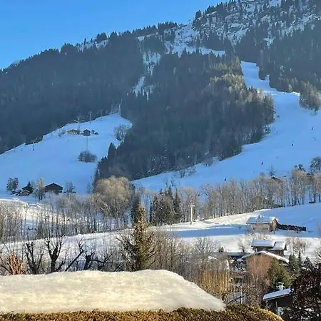 + Jardin Vue Pistes Et Local Velo Apartment