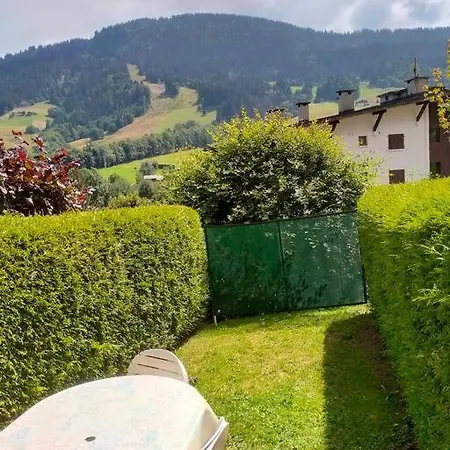 + Jardin Vue Pistes Et Local Velo * Praz-sur-Arly